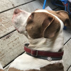 Meet your Posher, Luke